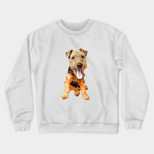 Welsh Terrier Puppy Dog Crewneck Sweatshirt